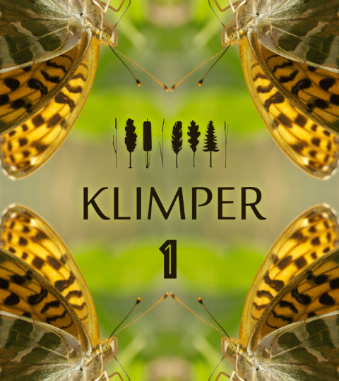 Cover Picture for Klimper 1. An Emperor butterfly mirrored in all four corners of the image on green background, framing the lettering KLIMPER 1