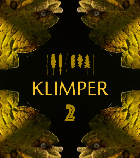 Cover Picture for Klimper 2. A yellow autumn leaf mirrored in all four corners of the image on black background, framing the lettering KLIMPER 2